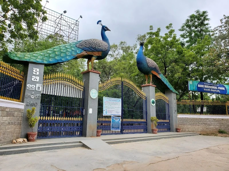 Dense greenery and walking trails at KBR National Park in Jubilee Hills.